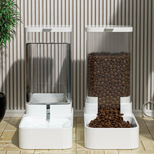 Automatic Food and Water Dispenser for Pets