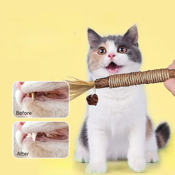 Tooth Cleaning Catnip Stick Bite-Resistant Cat Toy