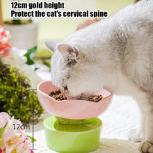 Anti-Tipping Ceramic Cat Food Bowl with Stand