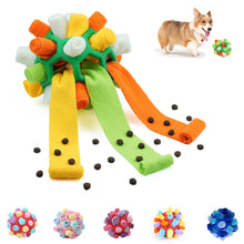 Dog Sniffing Ball with Hidden Food Interactive Toy