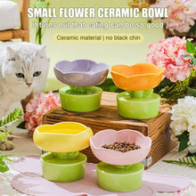 Anti-Tipping Ceramic Cat Food Bowl with Stand