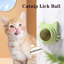 Wall Mounted Rotatable Catnip Lick Ball